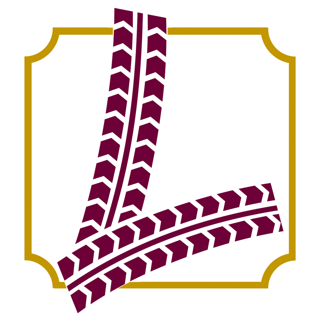 32x4 1/2 (23" rim) Dunlop Triple Stud